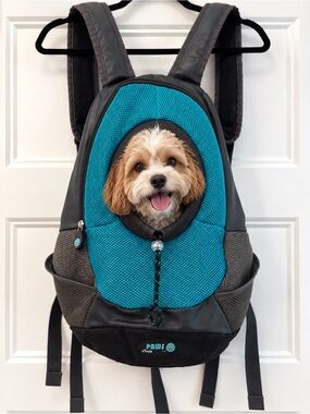 Teal & Gray Pet Carrier Backpack for Small Dogs